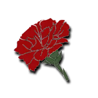 Pale Carnations Logo