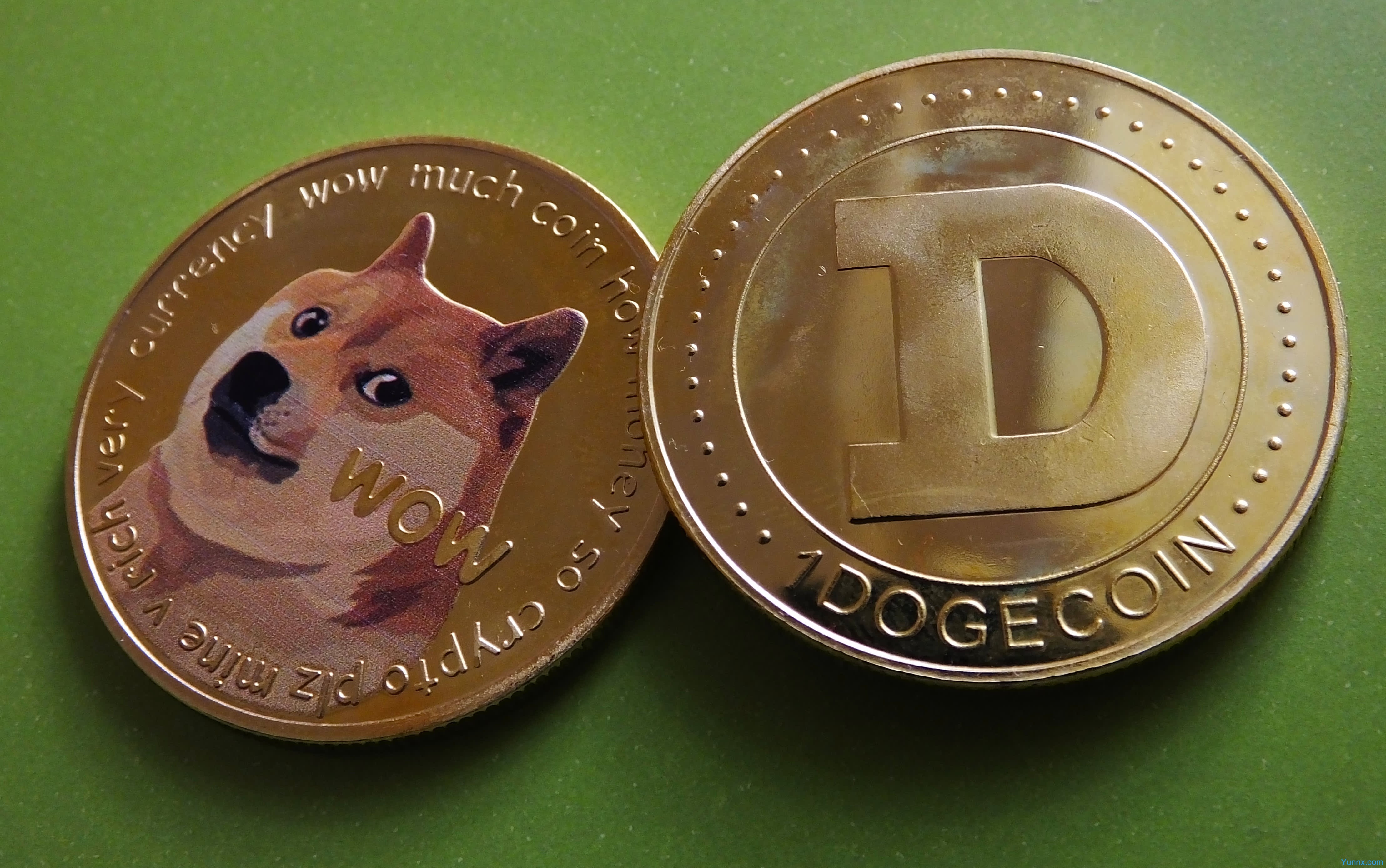 What is the Dogecoin Foundation?