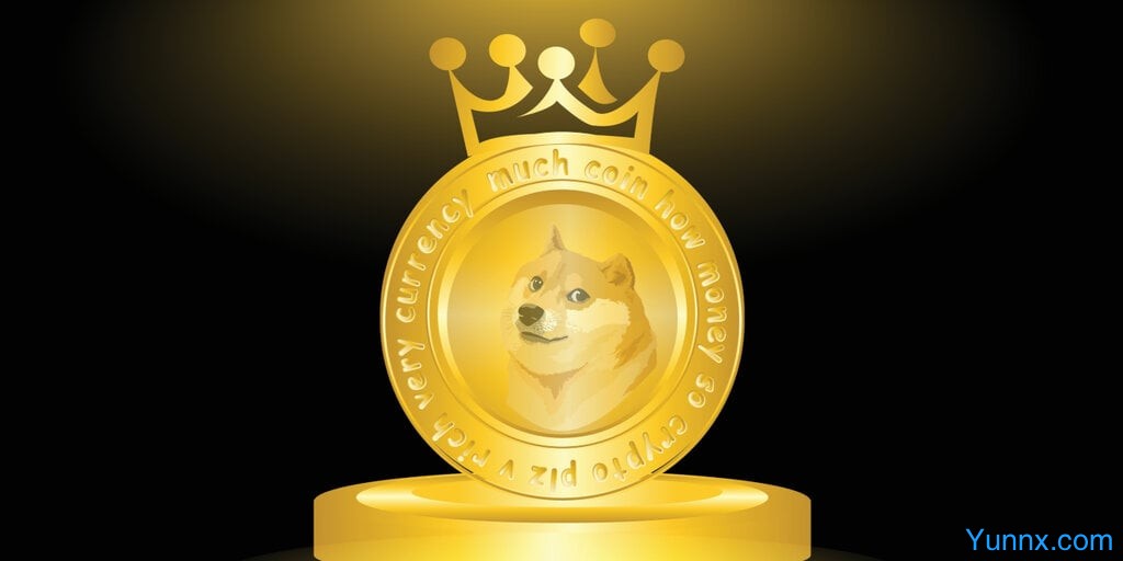 Dogecoin and Privacy