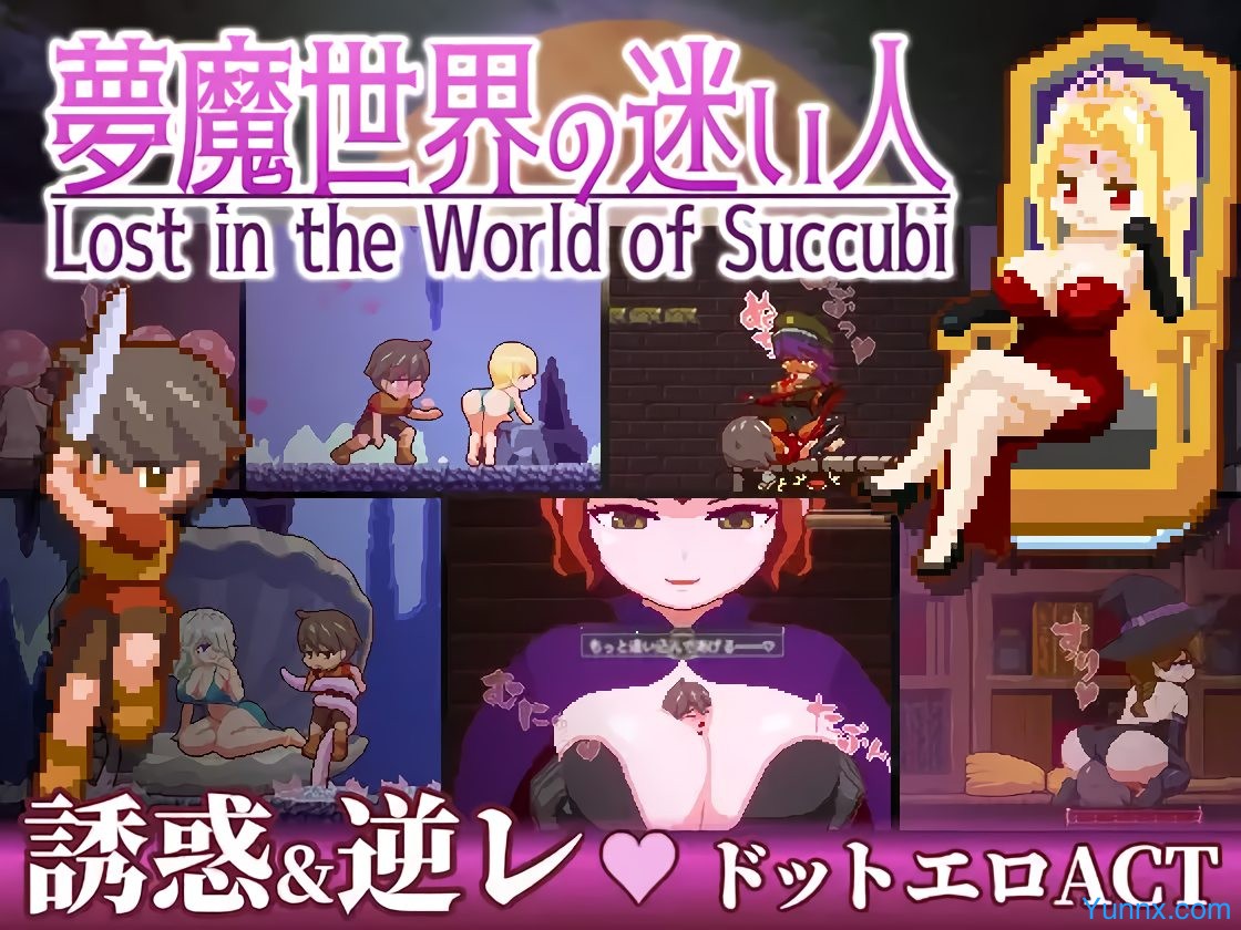 Lost in the World of Succubi Logo